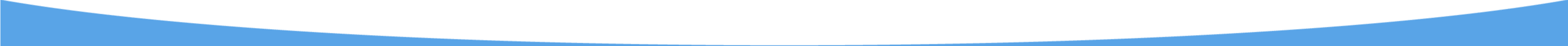 bottom icon
